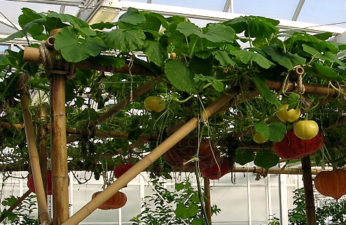 DSCN1896.JPG