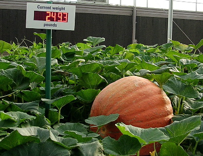 DSCN1897.JPG