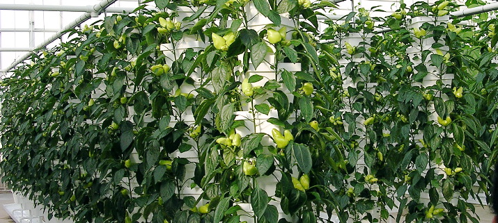 DSCN1898.JPG