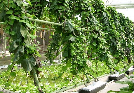 DSCN1899.JPG