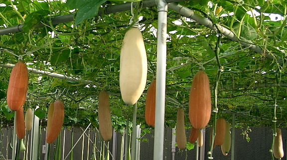 DSCN1900.JPG