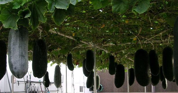 DSCN1901.JPG