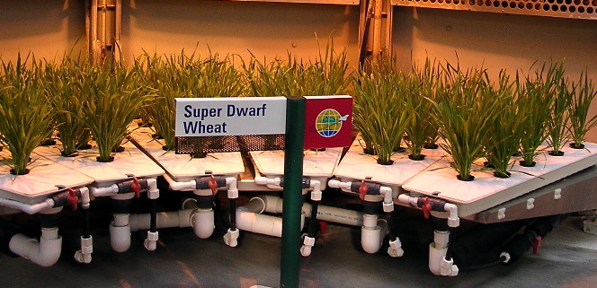 DSCN1903.JPG