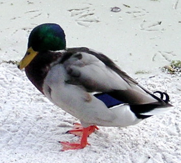DSCN1884.JPG