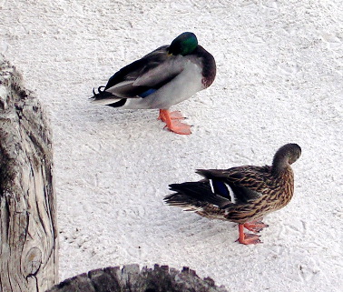 DSCN1885.JPG