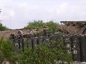DSCN1545.JPG